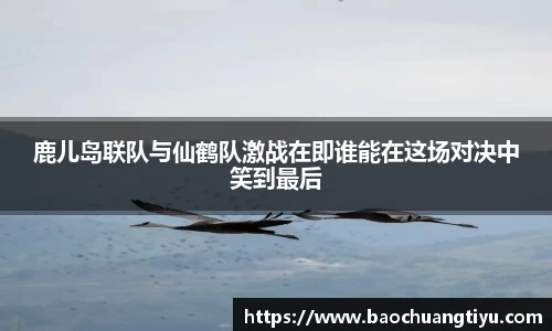 DG视讯